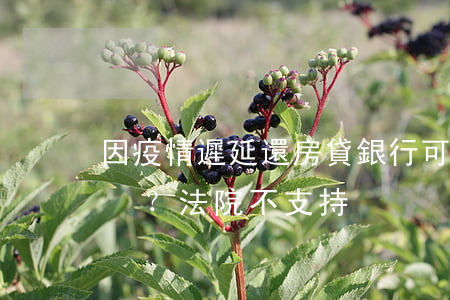 因疫情遲延還房貸，銀行可以提前收回貸款嗎？法院：不支持